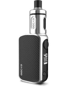 e-cigarette-gecko-compact-montélimar