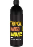 Tropical Mangue Ananas - Remix Jet