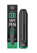 Ecig CBD Vape Pen 650 - Natural Terpènes
